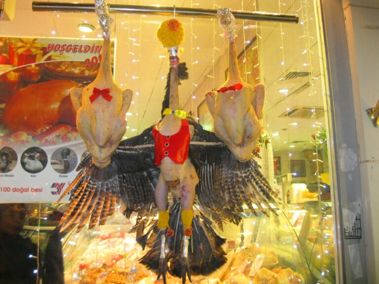 Turkish celebrations – Strange but true in Istanbul