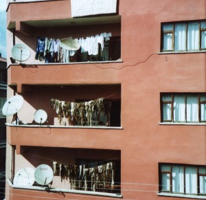 They dry wool in Dogubeyazit, not just washing!