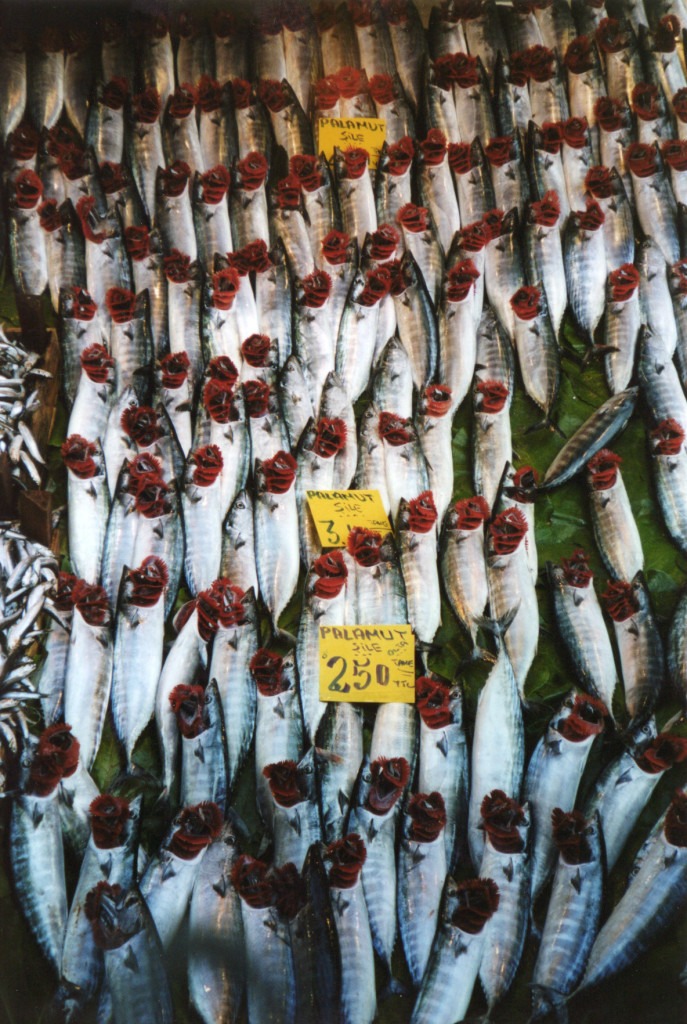 Ist 06 Kadikoy Fish display 2