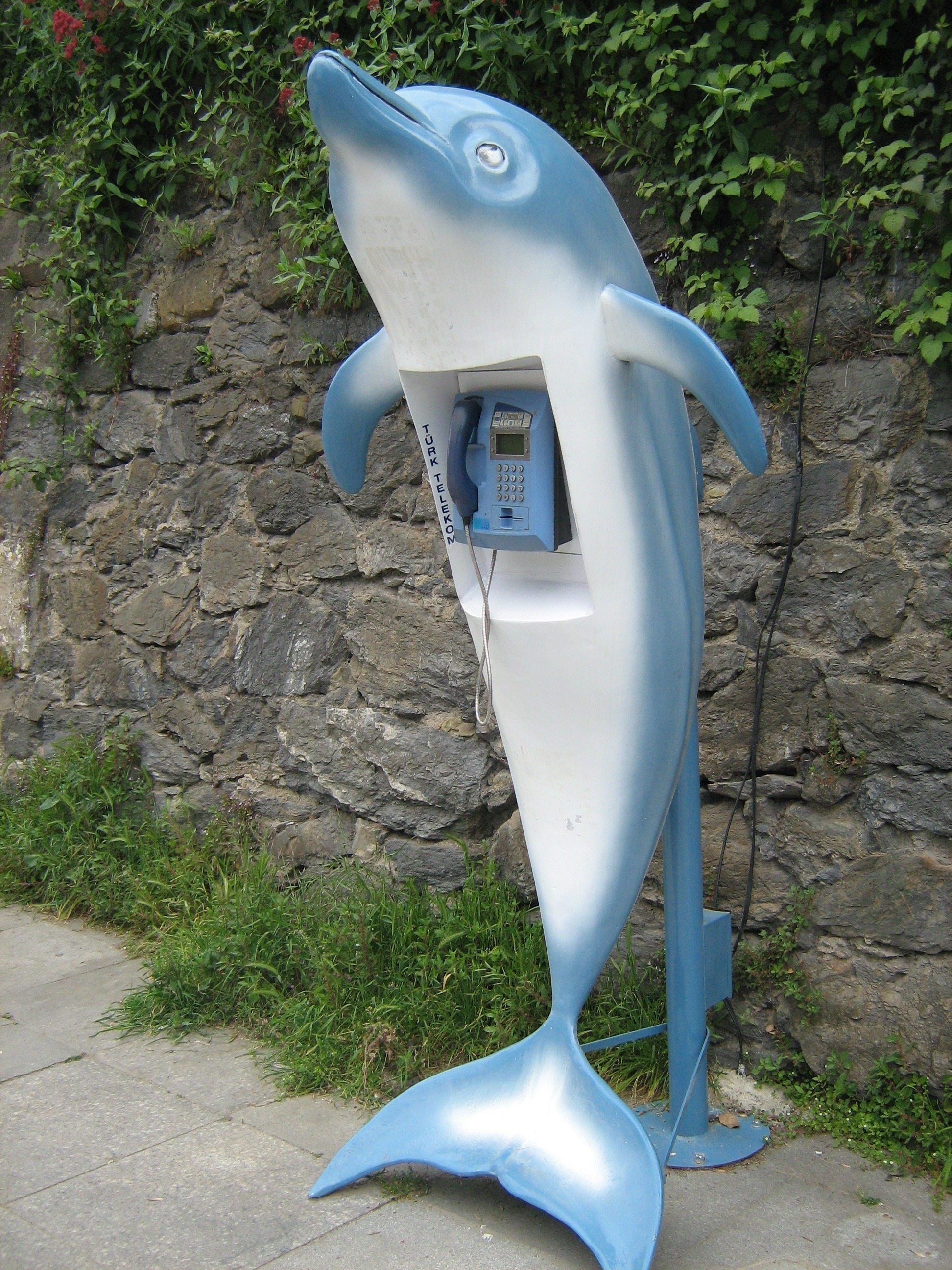 Anadolu Hisari dolphin phone 2