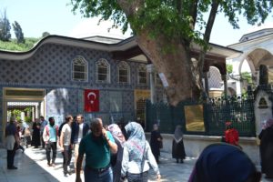 The ancient plane trees of Eyup mosque - photo courtesy of Dorota Yamadag