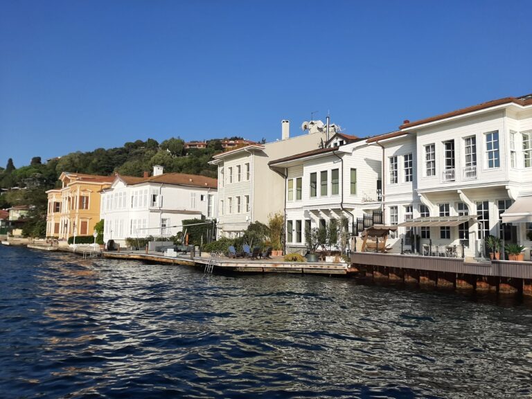 10 Minutes 38 Seconds in this Strange World by Elif Safak