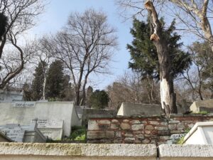 Terraces full of graves along the Golden Horn.