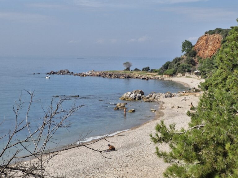 Burgazada – what to see and do